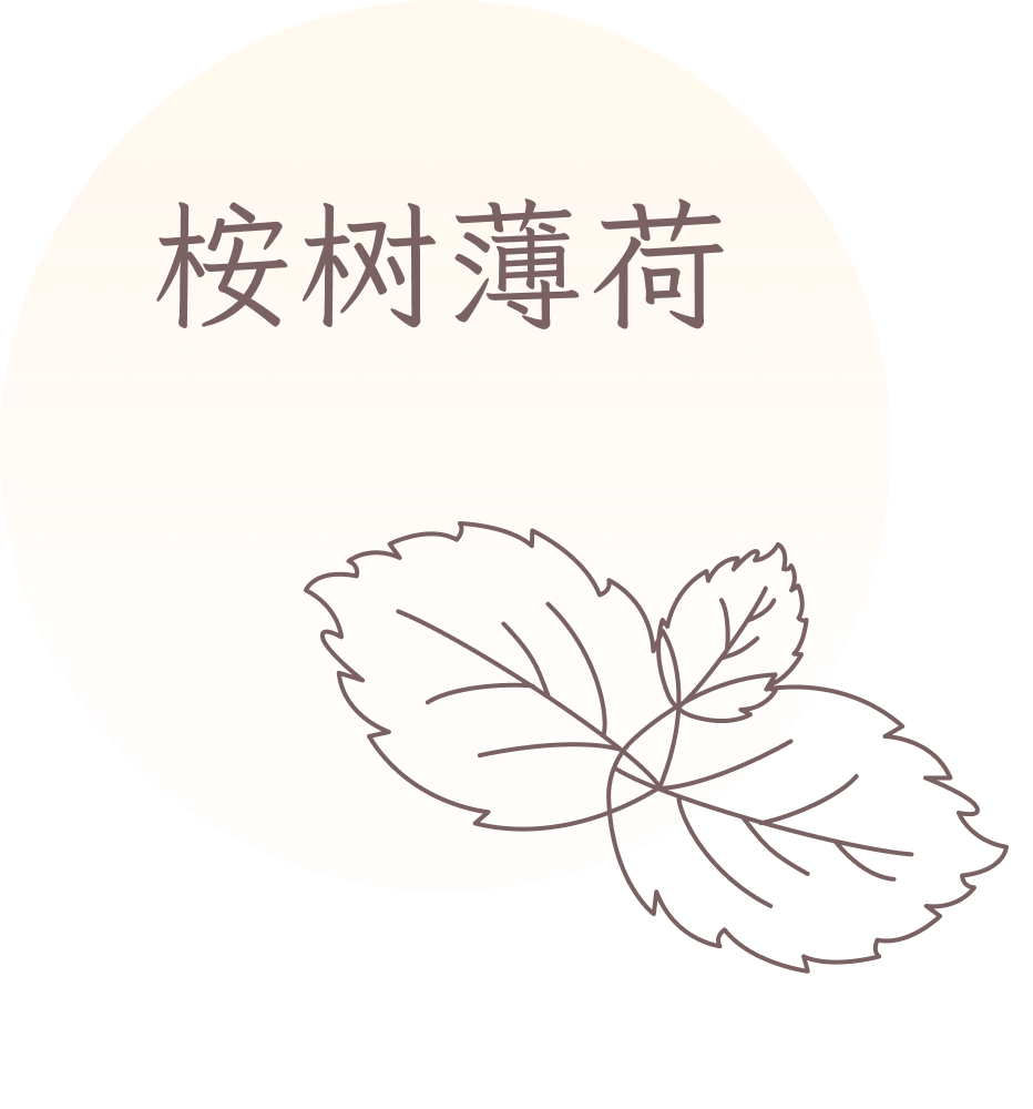 GRAPHIC - 香型-薄荷