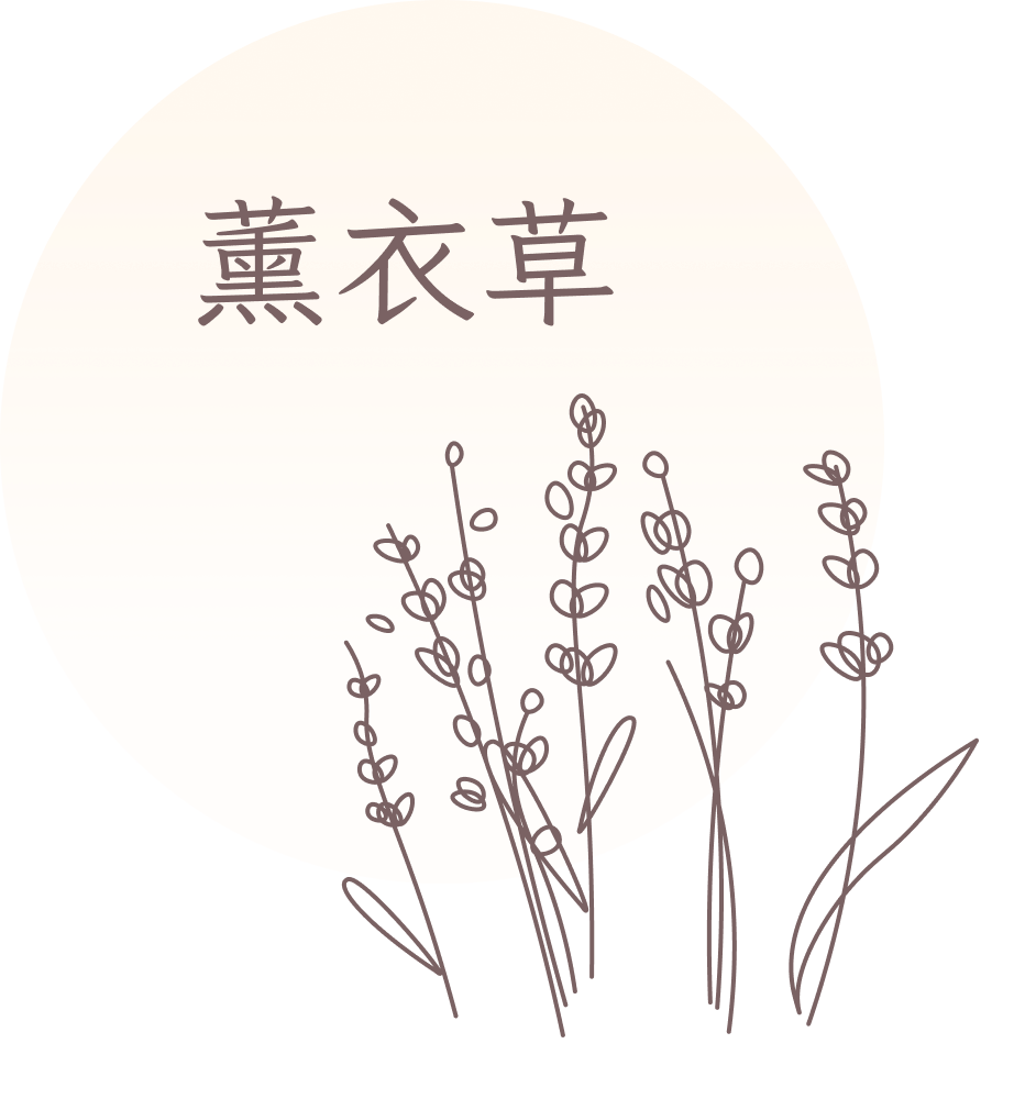 GRAPHIC - 香型-薰衣草